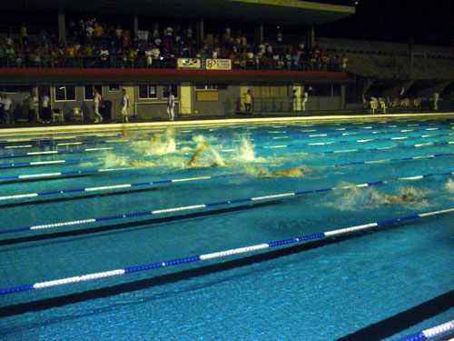 Foto: DSC03480.jpg
Criada em : 05/09/2020 10:12:43
Peso : 62773 bytes
Dimenso : 500 X 375 pixel
Cores : 
Foto = 38